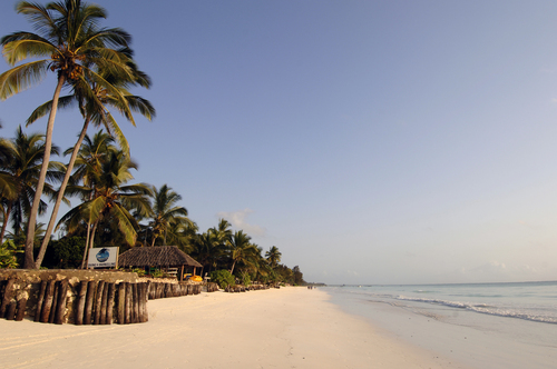 Product picture The Complete Manual For Beginning Management